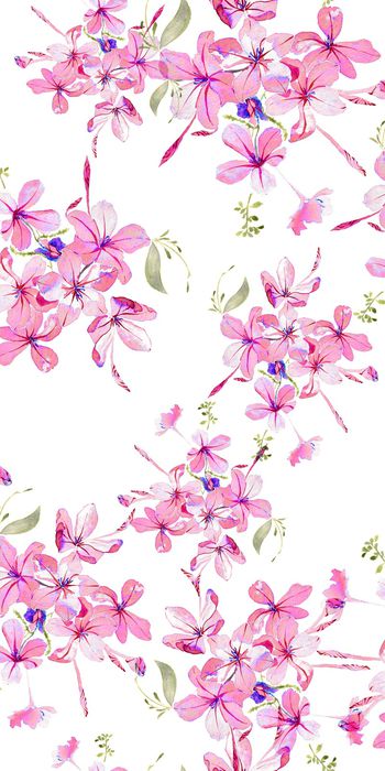 779521-20170207-19S-3