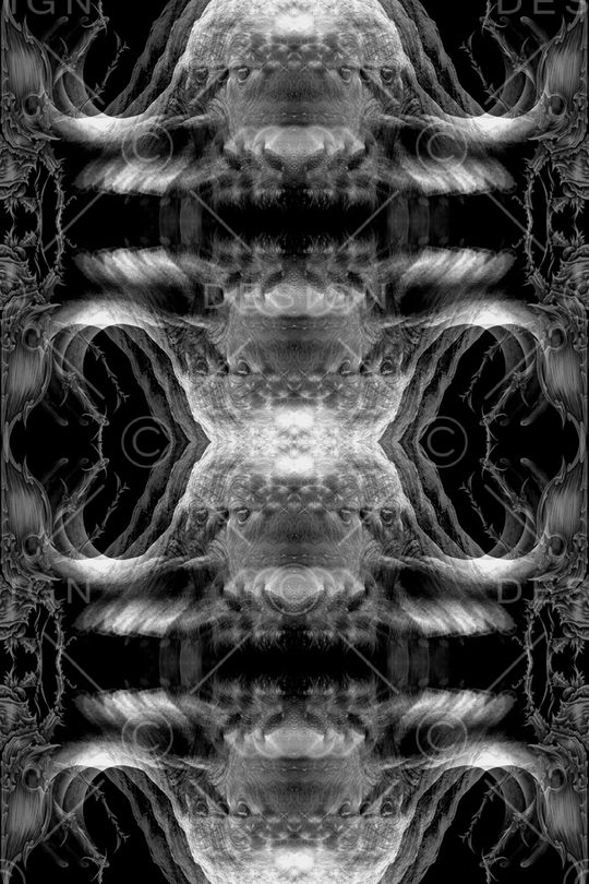 牛印花华亿平台图片