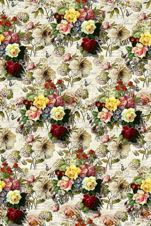 女装印花华亿平台图片