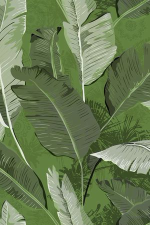 热带印花华亿平台图片