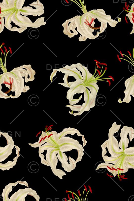 女装印花华亿平台图片