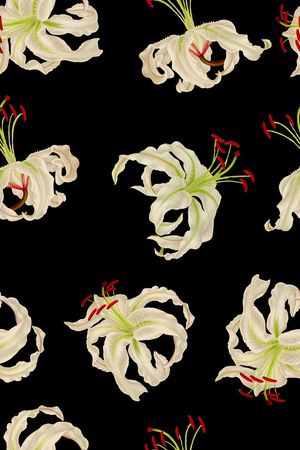 女装印花华亿平台图片