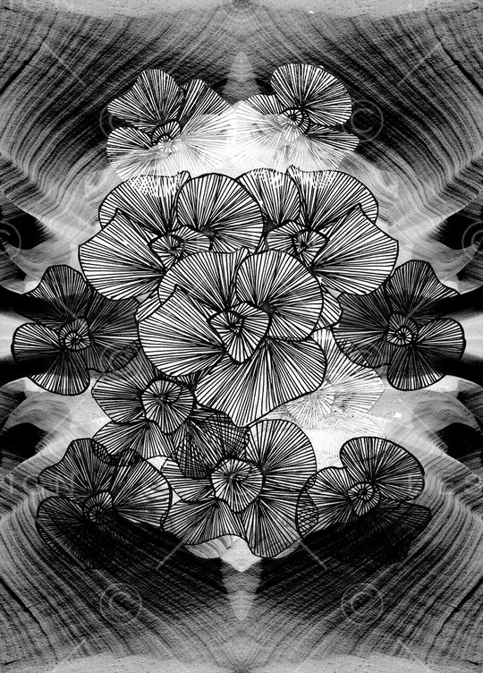 荷花印花华亿平台图片