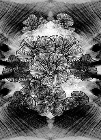 荷花印花华亿平台图片