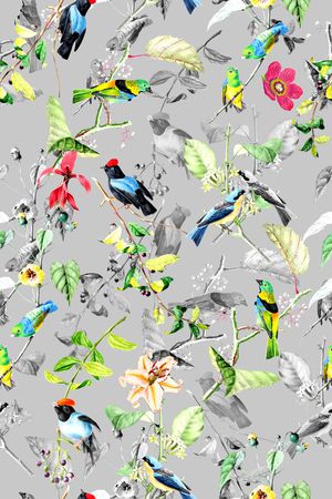 花鸟印花华亿平台图片