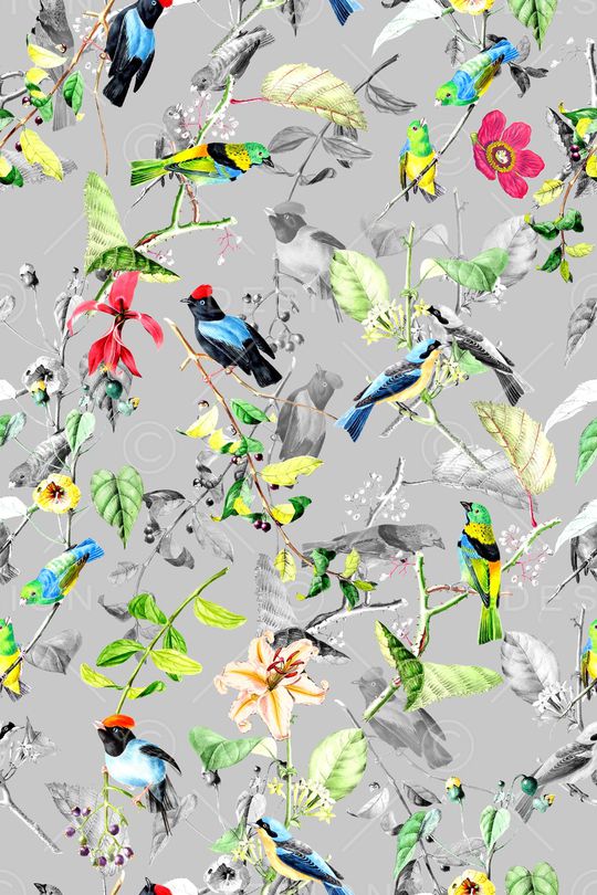 花鸟印花华亿平台图片