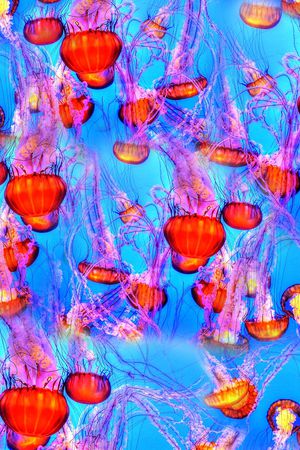 数码印花印花华亿平台图片