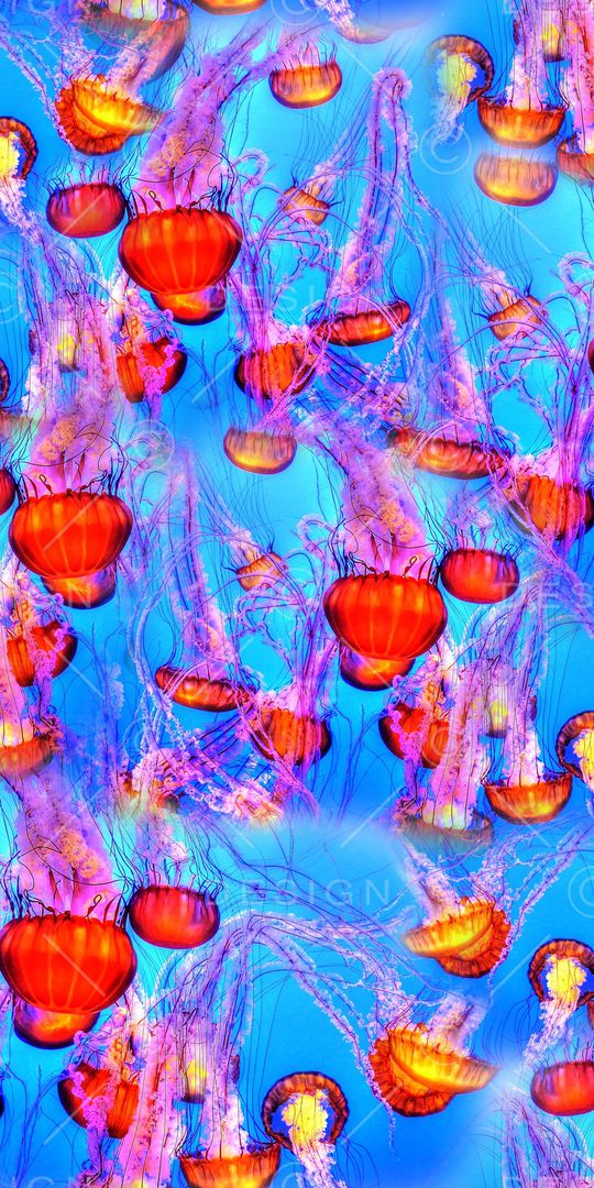 数码印花印花华亿平台图片