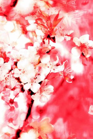 桃花印花华亿平台图片