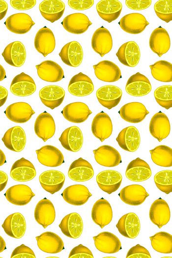 781448-趣味柠檬泳装华亿平台