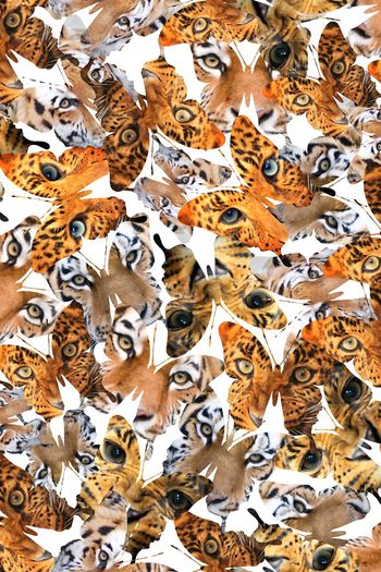 动物印花华亿平台图片