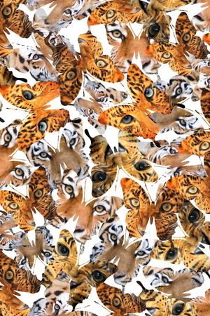 动物印花华亿平台图片