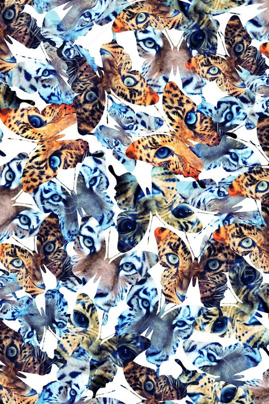 动物印花华亿平台图片