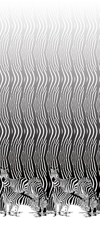 黑白印花华亿平台图片