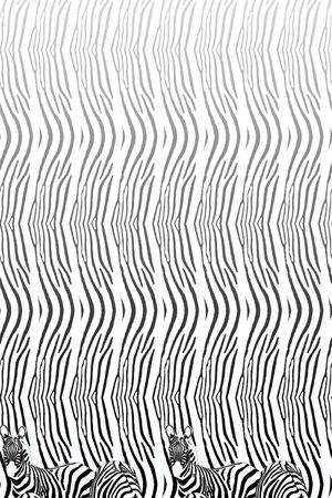 黑白印花华亿平台图片