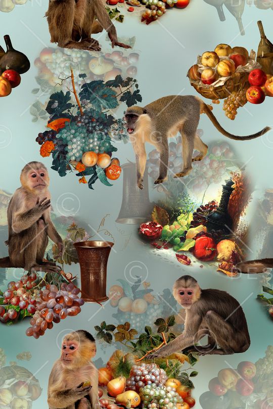 数码印花华亿平台图片