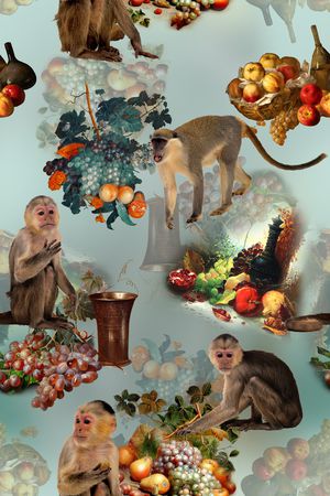 数码印花华亿平台图片