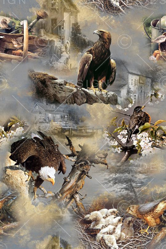 动物印花华亿平台图片