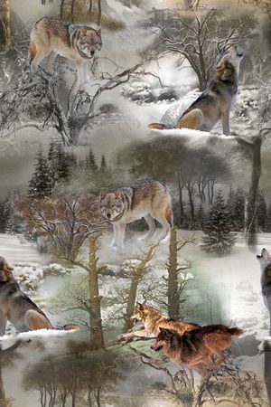 数码印花华亿平台图片