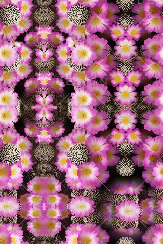 花朵印花华亿平台图片