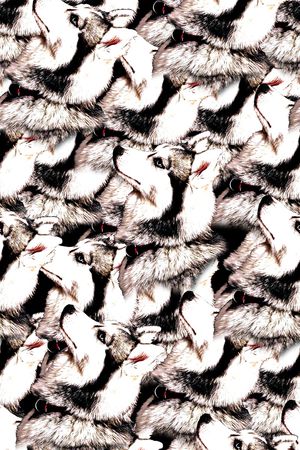 抽象手绘水彩画动物纹理狼头数码印花印花华亿平台图片