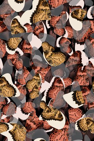 昆虫印花华亿平台图片