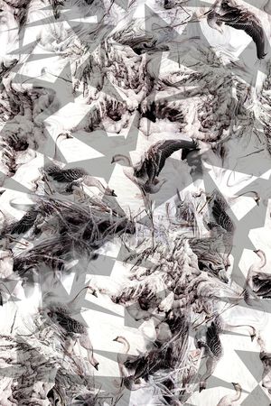 男装T桖印花华亿平台图片