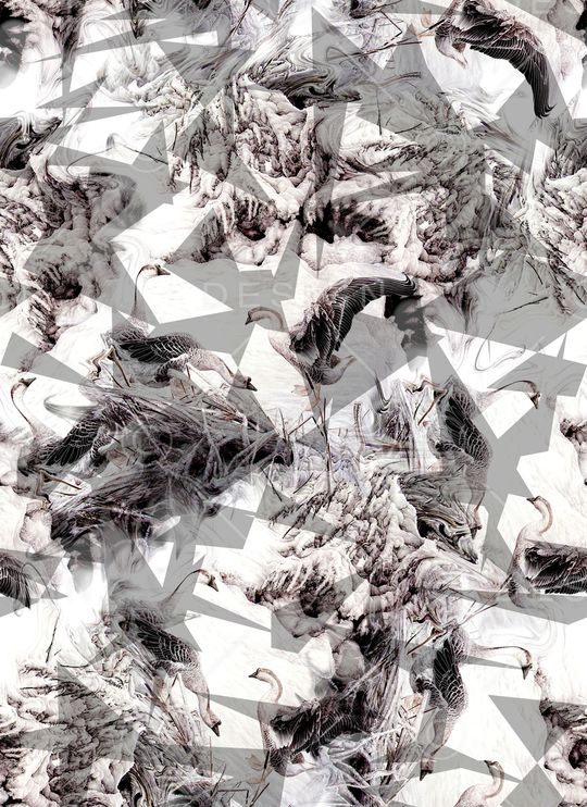 男装T桖印花华亿平台图片