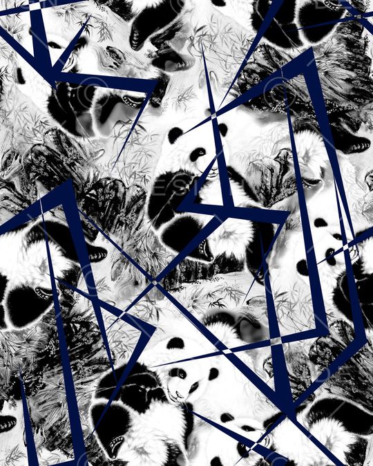 男装T桖印花华亿平台图片