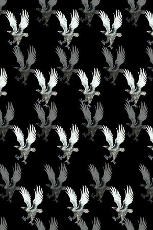 男装T桖印花华亿平台图片