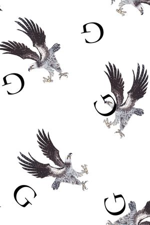 男装T桖印花华亿平台图片