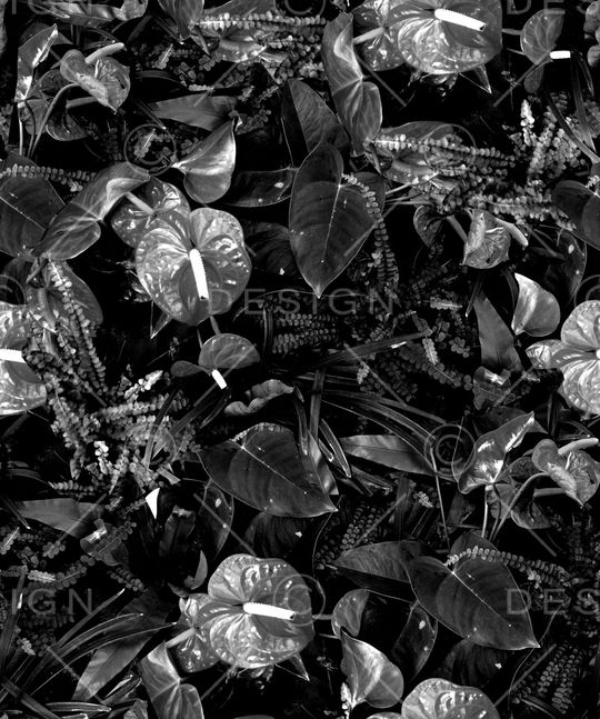 男装T桖印花华亿平台图片