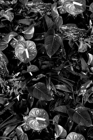 男装T桖印花华亿平台图片