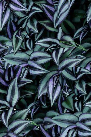 男装T桖印花华亿平台图片