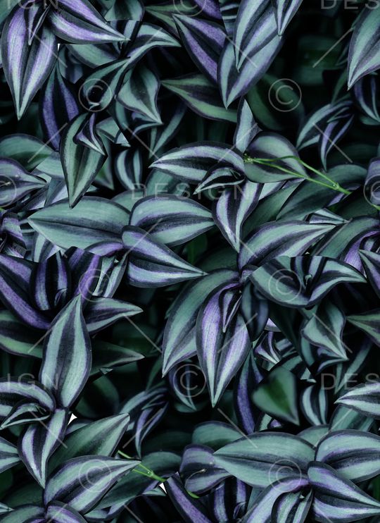 男装T桖印花华亿平台图片