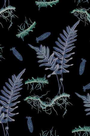 男装华亿平台印花华亿平台图片