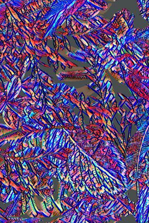 热带印花华亿平台图片