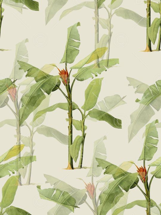 树叶印花华亿平台图片