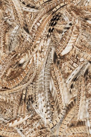 孔雀印花华亿平台图片