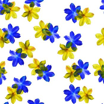 783812-迎春花—白