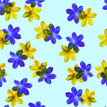 783837-迎春花—蓝