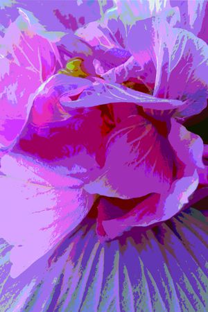 大花印花华亿平台图片