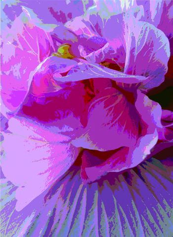 大花印花华亿平台图片