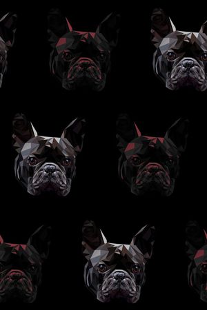 动物印花华亿平台图片