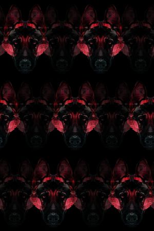 动物印花华亿平台图片