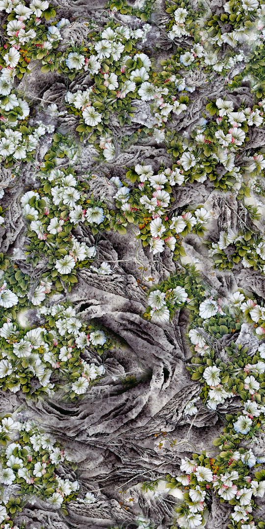 乱花印花华亿平台图片