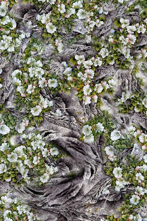 乱花印花华亿平台图片