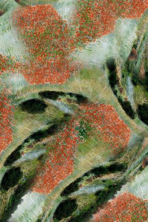 动物纹印花华亿平台图片