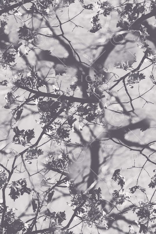 黑白印花华亿平台图片