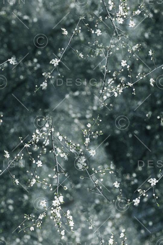 桃花印花华亿平台图片